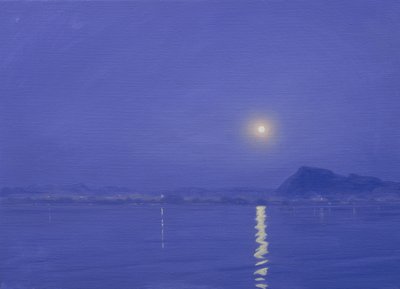 乌代浦的月光 作者 Derek Hare