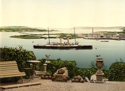 皇后镇海港。科克郡，约1890年 作者 底特律摄影公司