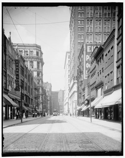 Wood Street, Pittsburgh, Pa. 作者 底特律出版公司