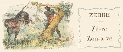 Z：斑马、零、zouave 作者 德瓦贝兹 德瓦贝兹