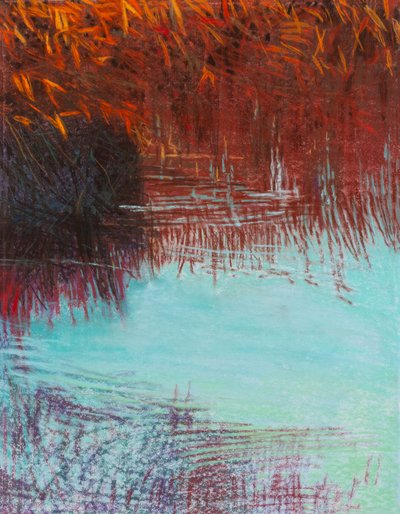 红柳 2b，2021 年（纸上粉彩画） 作者 戴安娜·扬斯