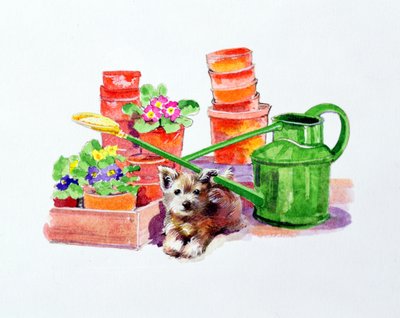 赤土陶器罐中的小猎犬 作者 黛安·马蒂斯