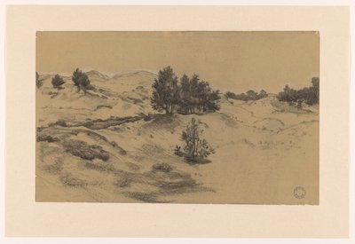 沙丘景观 作者 迪克·凯