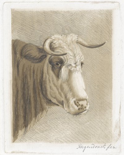 布谷鸟 作者 Diederik Jan Singendonck（艺术家签名）