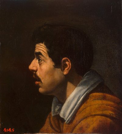 人物简介中的人头，c。 1616-1617 作者 迭戈委拉斯开兹