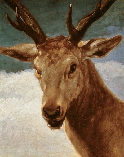 雄鹿的头，1634年 作者 迭戈委拉斯开兹
