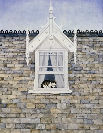 St.Helier多马猫 作者 迪兹