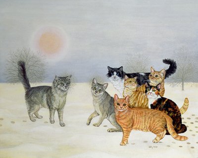冬季，猫 作者 迪兹