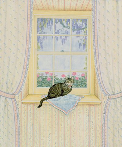 紫藤猫 作者 迪兹