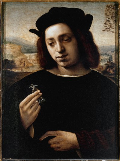 Portrait of Man, known as the Gold - oil on canvas 作者 多梅尼科·吉兰达约（Domenico Ghirlandaio）