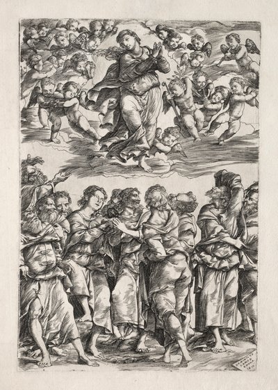 圣母升天，1517年。 作者 多梅尼科·坎帕尼奥拉（Domenico Campagnola）