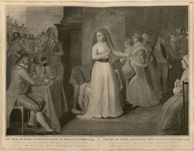法国女王玛丽-安托瓦内特的审判，1793年10月14日。 作者 多梅尼科·佩莱格里尼