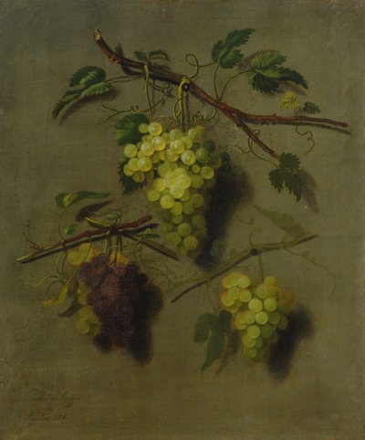 静物，1738年 作者 多米尼库斯·范德·史密森