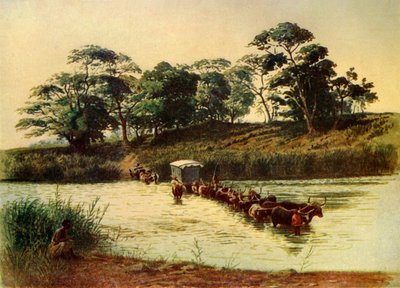Bullock Waggon Crossing a Drift on the Umbelois River-Swaziland》，1902年。 作者 唐纳德麦克拉肯