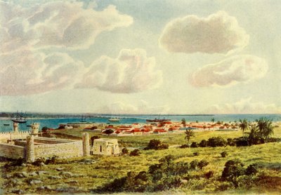 德拉戈亚湾"，1902年。 作者 唐纳德麦克拉肯