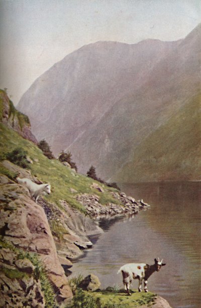 挪威，c1930年代 作者 唐纳德·麦克利什