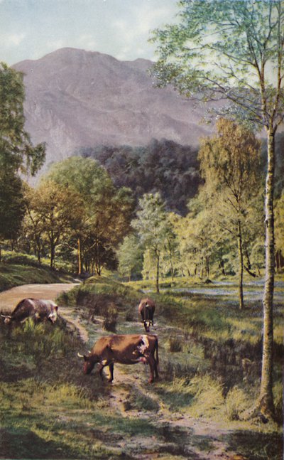 苏格兰，c1930年代 作者 唐纳德·麦克利什