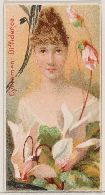 仙客来：Diffidence》，出自《花之美》和《花之语》系列N75，为杜...，1892年。 作者 唐纳森兄弟