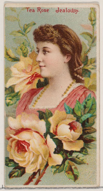 茶玫瑰：嫉妒，来自《花之美和花之语》系列的N75号作品，为公爵......，1892年。 作者 唐纳森兄弟