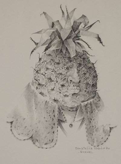 菠萝 作者 多纳泰拉·梅洛