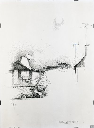 屋顶 作者 多纳泰拉·梅洛