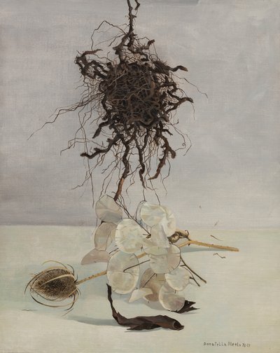 根 作者 多纳泰拉·梅洛