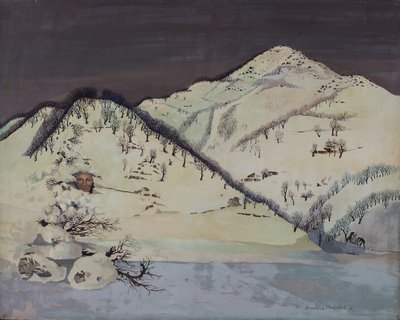 雪中的男人 作者 多纳泰拉·梅洛