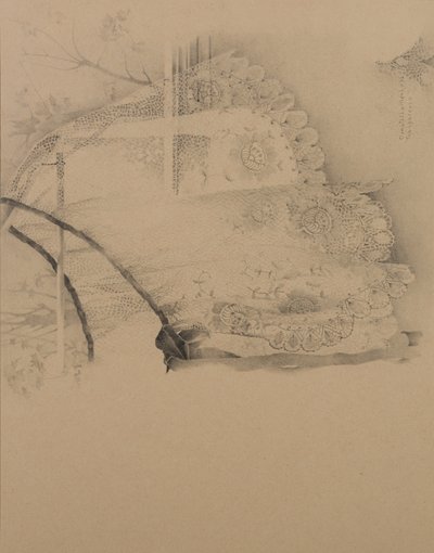 透明胶片 作者 多纳泰拉·梅洛