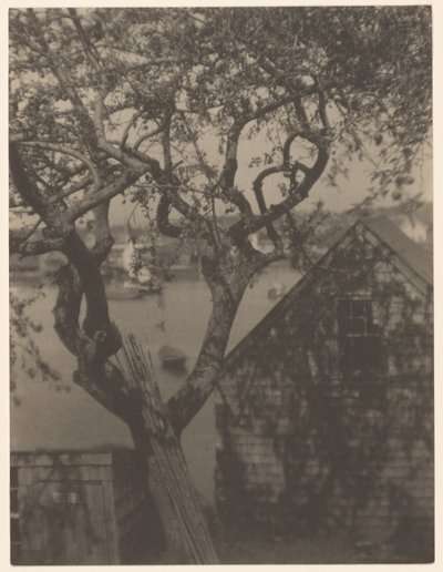 港口场景，可能是马萨诸塞州格洛斯特市 作者 多丽丝·乌尔曼（Doris Ulmann）