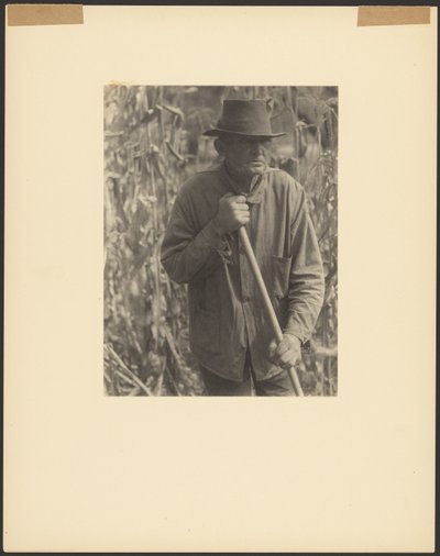 [高粱地里锄地的男人] 作者 多丽丝·乌尔曼（Doris Ulmann）