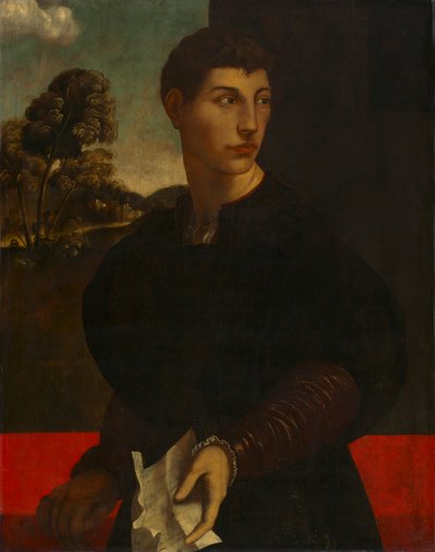 一个年轻人的肖像》，约 1530 年（木板上的油彩和金彩） 作者 Dosso（Dossi 的追随者）