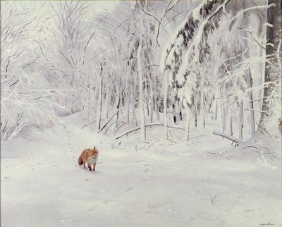 深雪中的狐狸 作者 道格拉斯·安德森