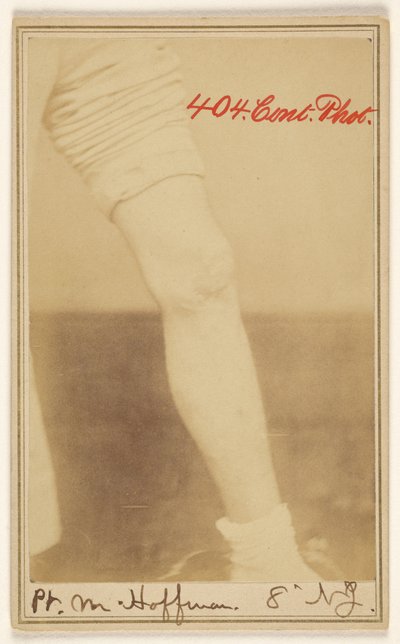 M. Hoffman，8