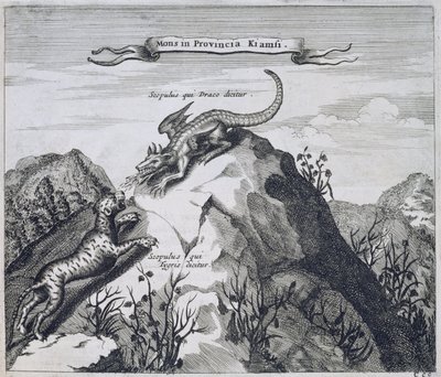 江西省一座山被称为龙与虎的山，来自中国的Athanasius Kircher（1601-80）1667 作者 荷兰学校