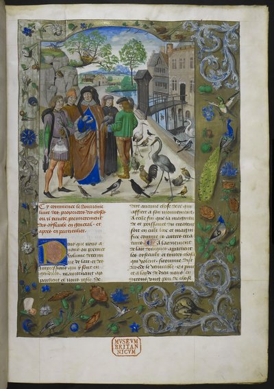 Bartholomaeus Angelicus，选自 De proprietatibus rerum 法文版（Livre des proprietez des choses），Royal 15 E III，f. 11 作者 荷兰学校
