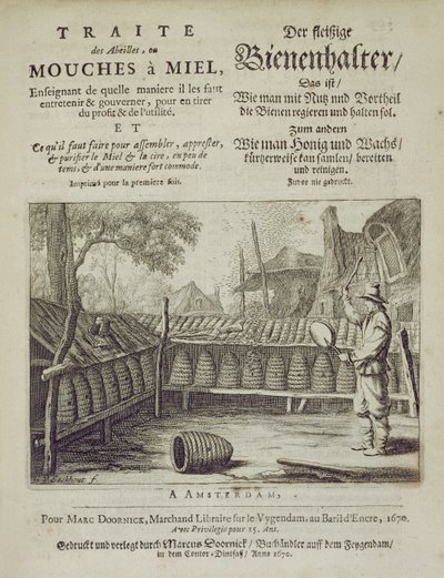 Bees或Honey Flies的封面......用法语和德语印刷，由GVEckhout，Amsterdam 1670雕刻 作者 荷兰学校