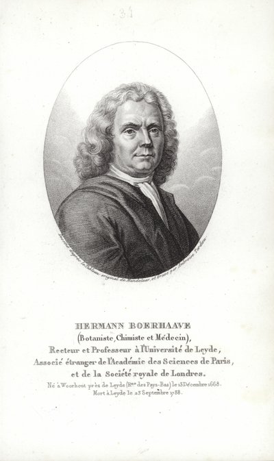 Herman Boerhaave 作者 荷兰学校
