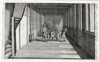 1676年出版的Jan Commelin的De Nederlandze Hesperides将树木搬进了花园 作者 荷兰学校