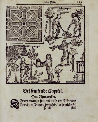 种植树木，由荷兰园丁Johann van der Groen于1699年出版 作者 荷兰学校