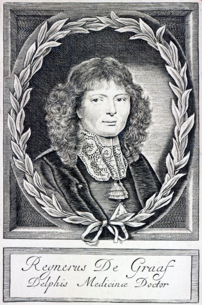 Regnier de Graaf，c.1670 作者 荷兰学校