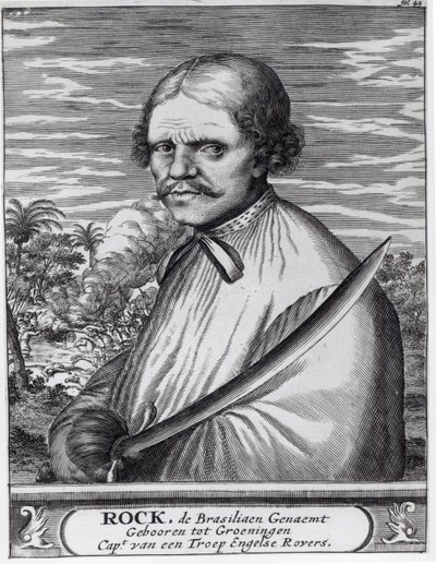 摇滚巴西 作者 荷兰学校