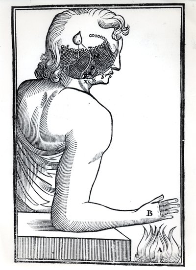感觉的感知，来自Rene Descartes的De Homine Figuris（1596-1650）于1677年在阿姆斯特丹出版 作者 荷兰学校