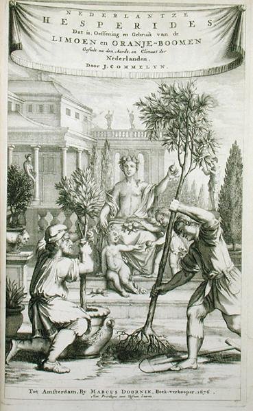 扬-康梅林的《De Nederlandze Hesperides》扉页，1676年出版（雕刻）。 作者 荷兰学校