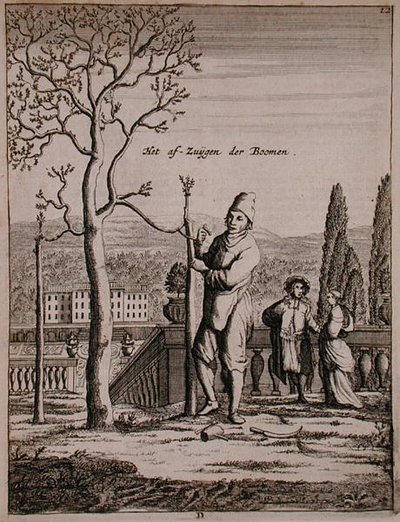 训练一匹马，摘自Jan Commelin的《De Nederlandze Hesperides》，1676年出版（雕刻）。 作者 荷兰学校