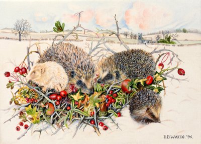 1996年Hedgerow篮子里的刺猬（丙烯画布） 作者 EB瓦特