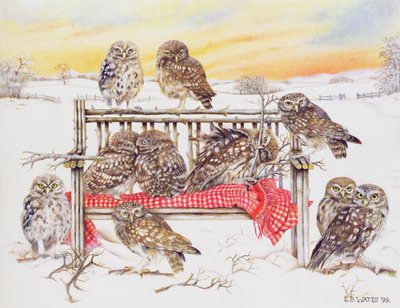 1999年Twig Bench上的小猫头鹰（画布上的丙烯酸） 作者 EB瓦特