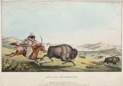 狩猎水牛，1837年。 作者 欧共体比德尔