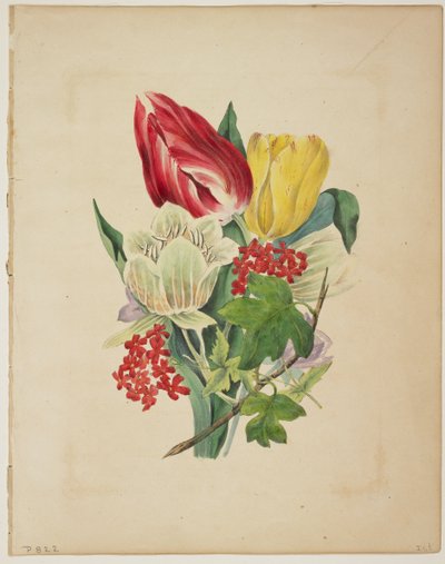 郁金香花束，来自Flora&39;s Dictionary，1838 作者 E. W. Wirt