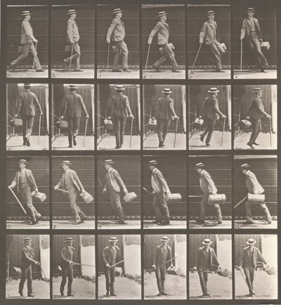 动物运动。对动物运动的......电子照相调查。开始...，19世纪80年代。 作者 爱德沃德·迈布里奇