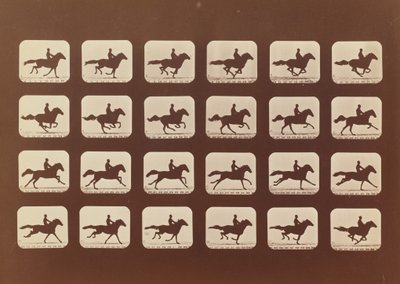 马匹。奔跑。Phyrne L. No. 40, 1879. 作者 爱德沃德·迈布里奇